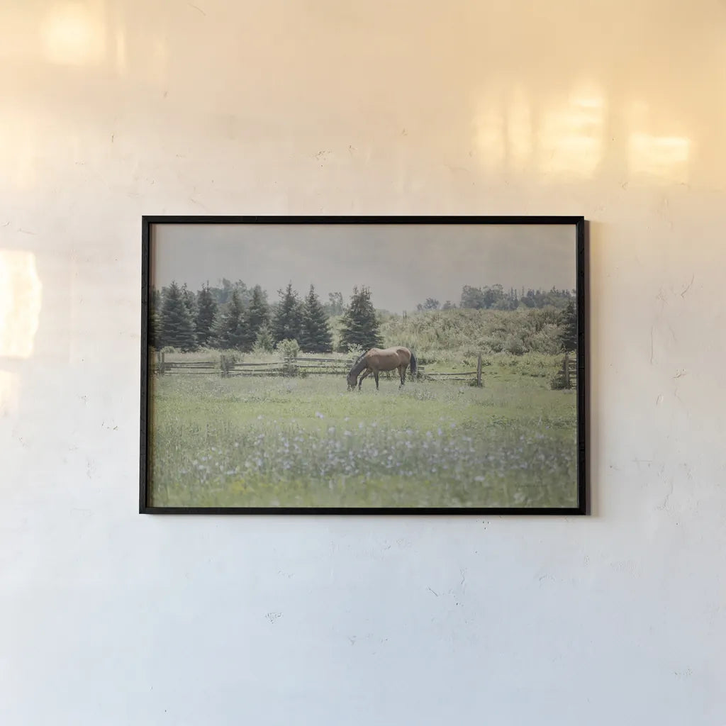 Sun Drenched II by Elizabeth Urquhart. shown as a paper print in a black flame. Available as a archival giclee rolled canvas, fine art paper, or poster print. SKU 50760i.