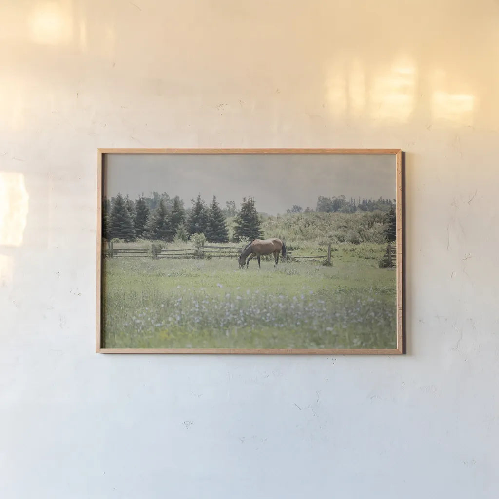 Sun Drenched II by Elizabeth Urquhart. shown as a paper print in a natural frame. Available as a archival giclee rolled canvas, fine art paper, or poster print. SKU 50760i.