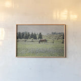 Sun Drenched II by Elizabeth Urquhart. shown as a paper print in a natural frame. Available as a archival giclee rolled canvas, fine art paper, or poster print. SKU 50760i.