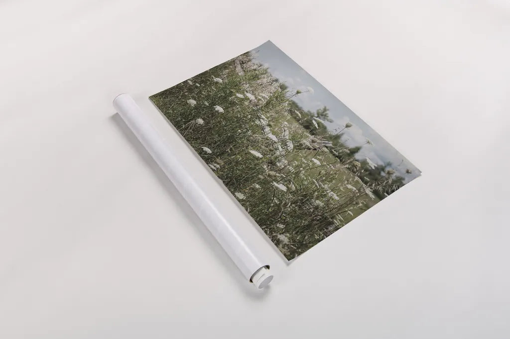 Sun Drenched III by Elizabeth Urquhart. shown as a rolled paper print. Available as archival giclee rolled canvas, fine art paper, or poster print. SKU 50761i.