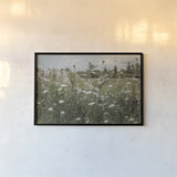Sun Drenched III by Elizabeth Urquhart. shown as a paper print in a black flame. Available as a archival giclee rolled canvas, fine art paper, or poster print. SKU 50761i.
