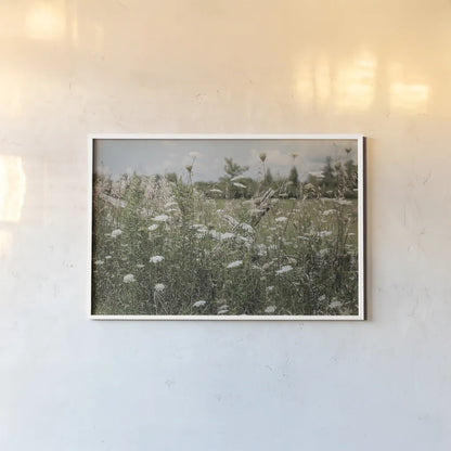 Sun Drenched III by Elizabeth Urquhart. shown as a paper print in a white frame. Available as a archival giclee rolled canvas, fine art paper, or poster print. SKU 50761i.