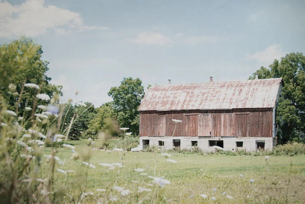 Sun Drenched IV by Elizabeth Urquhart. SKU 50762i. Archival Giclee Fine art print for wall decor.