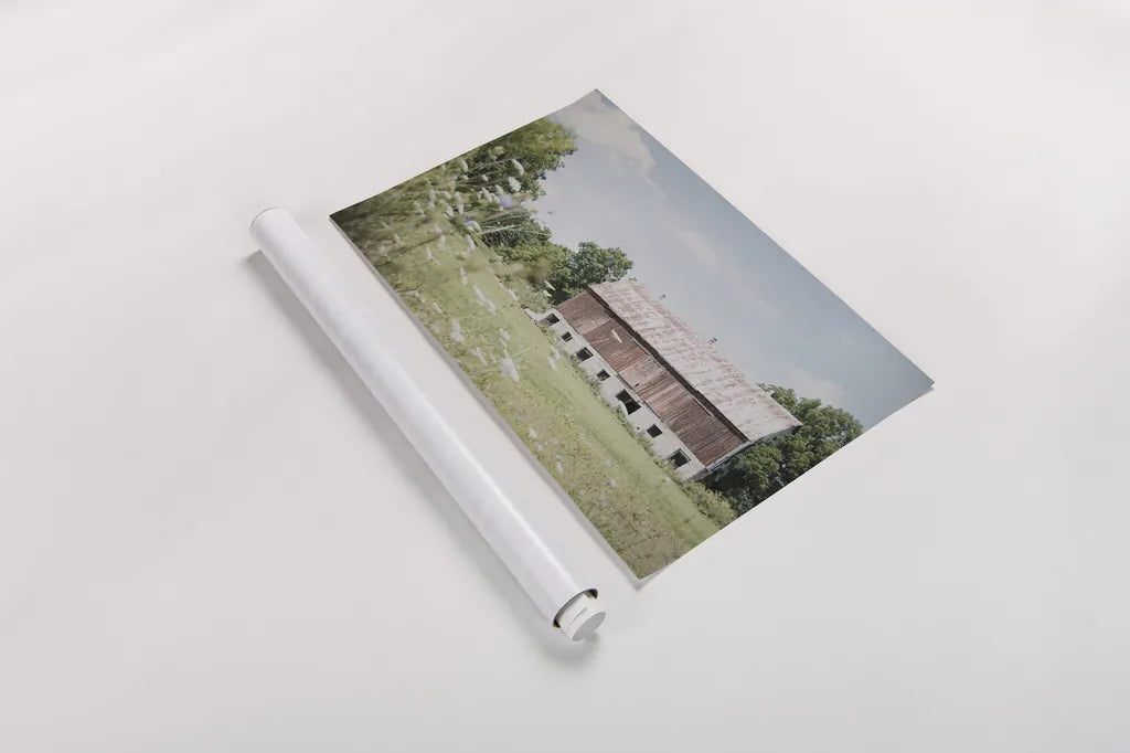 Sun Drenched IV by Elizabeth Urquhart. shown as a rolled paper print. Available as archival giclee rolled canvas, fine art paper, or poster print. SKU 50762i.