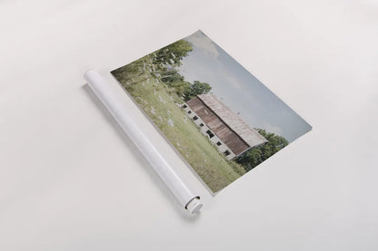 Sun Drenched IV by Elizabeth Urquhart. shown as a rolled paper print. Available as archival giclee rolled canvas, fine art paper, or poster print. SKU 50762i.