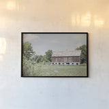 Sun Drenched IV by Elizabeth Urquhart. shown as a paper print in a black flame. Available as a archival giclee rolled canvas, fine art paper, or poster print. SKU 50762i.