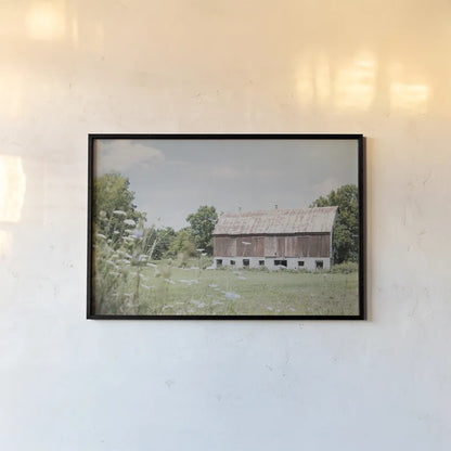 Sun Drenched IV by Elizabeth Urquhart. shown as a paper print in a black flame. Available as a archival giclee rolled canvas, fine art paper, or poster print. SKU 50762i.