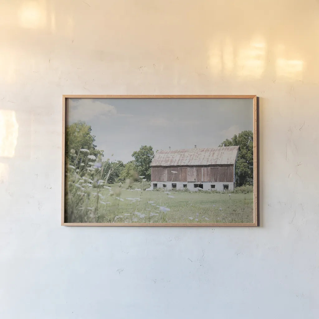 Sun Drenched IV by Elizabeth Urquhart. shown as a paper print in a natural frame. Available as a archival giclee rolled canvas, fine art paper, or poster print. SKU 50762i.