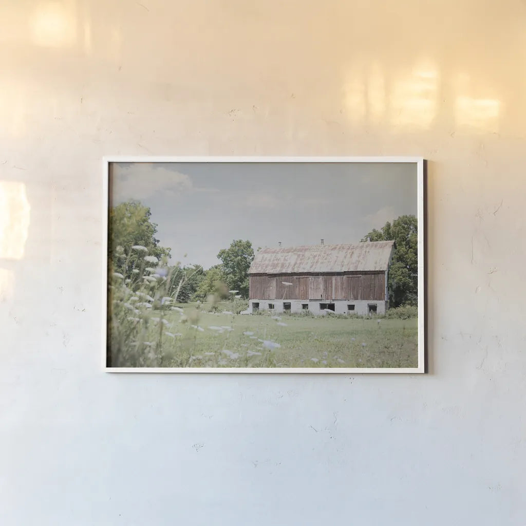 Sun Drenched IV by Elizabeth Urquhart. shown as a paper print in a white frame. Available as a archival giclee rolled canvas, fine art paper, or poster print. SKU 50762i.