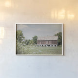 Sun Drenched IV by Elizabeth Urquhart. shown as a paper print in a white frame. Available as a archival giclee rolled canvas, fine art paper, or poster print. SKU 50762i.