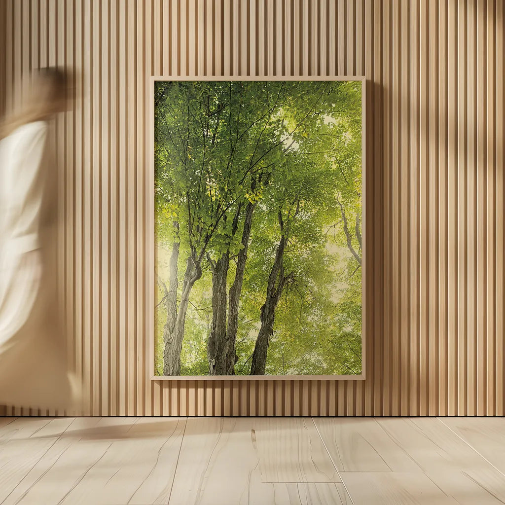 Towering Maples I by Elizabeth Urquhart. shown as over sized large wall art. Available as an archival giclee rolled canvas, fine art paper, or poster print. SKU 30343h.