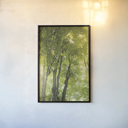 Towering Maples I by Elizabeth Urquhart. shown as a paper print in a black flame. Available as a archival giclee rolled canvas, fine art paper, or poster print. SKU 30343h.