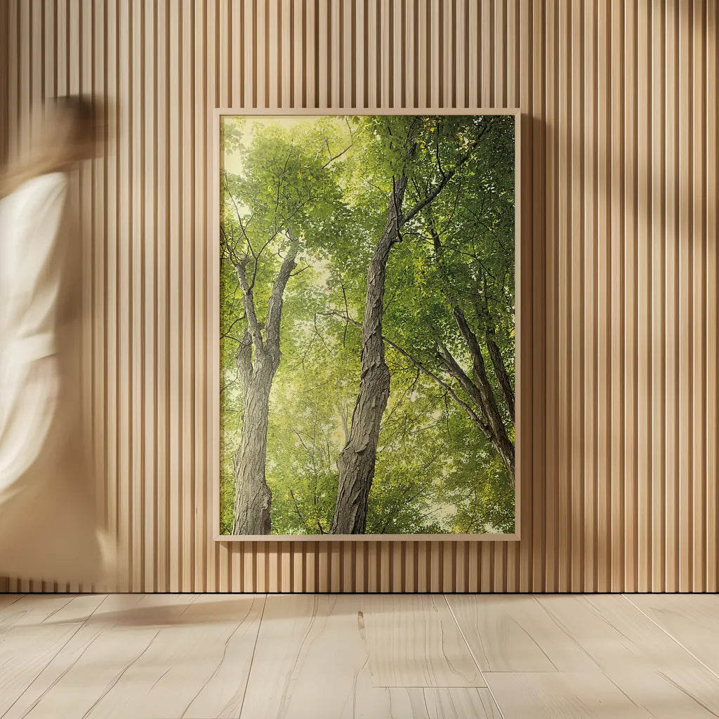 Towering Maples II by Elizabeth Urquhart. shown as over sized large wall art. Available as an archival giclee rolled canvas, fine art paper, or poster print. SKU 30344h.