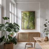 Towering Maples II by Elizabeth Urquhart. shown as a print in a natural wood frame in a dining room. Available as a archival giclee rolled canvas, fine art paper, or poster print. SKU 30344h.
