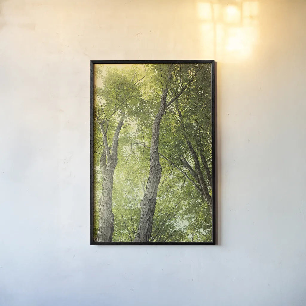 Towering Maples II by Elizabeth Urquhart. shown as a paper print in a black flame. Available as a archival giclee rolled canvas, fine art paper, or poster print. SKU 30344h.