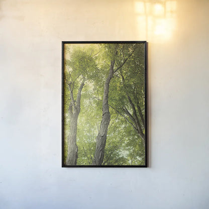 Towering Maples II by Elizabeth Urquhart. shown as a paper print in a black flame. Available as a archival giclee rolled canvas, fine art paper, or poster print. SKU 30344h.