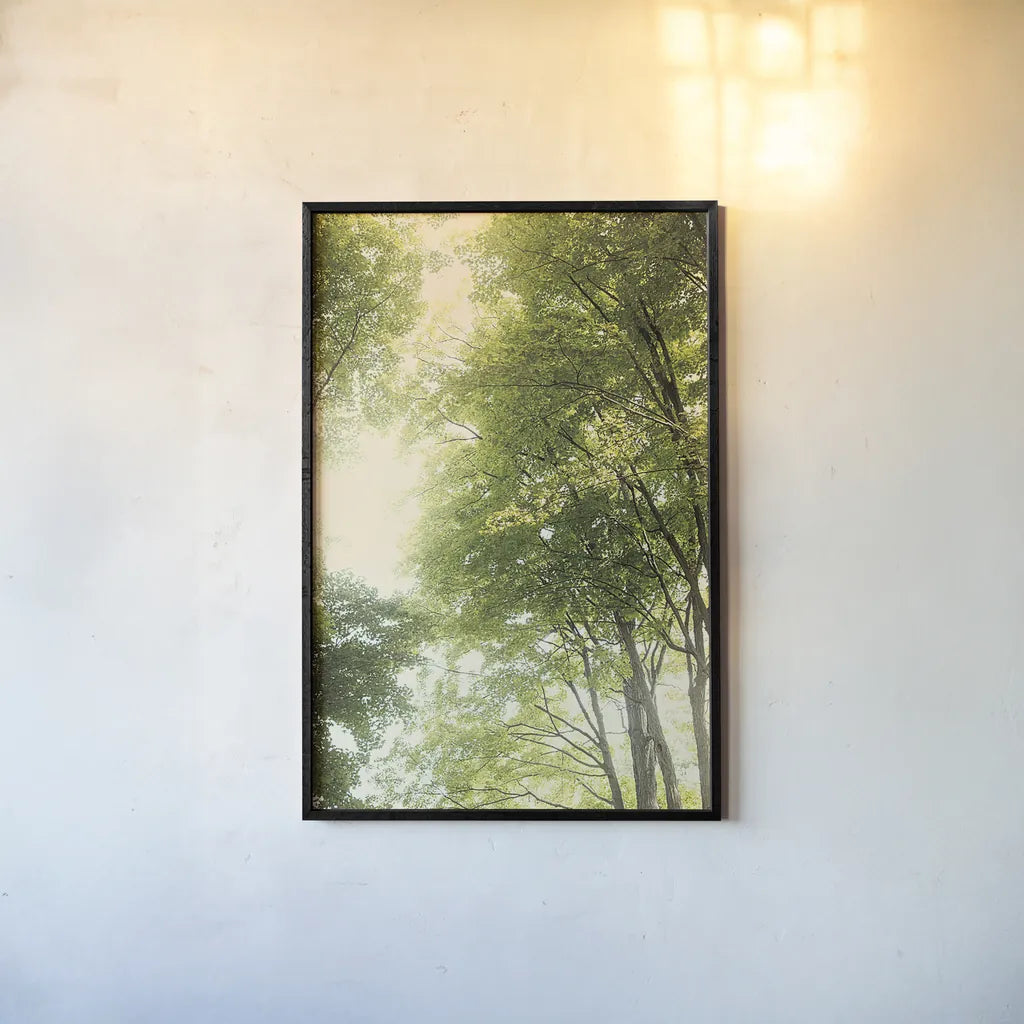 Towering Maples III by Elizabeth Urquhart. shown as a paper print in a black flame. Available as a archival giclee rolled canvas, fine art paper, or poster print. SKU 30345h.