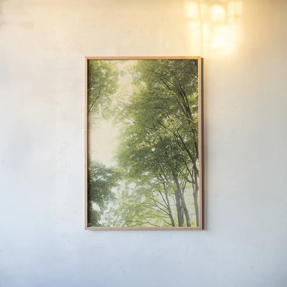 Towering Maples III by Elizabeth Urquhart. shown as a paper print in a natural frame. Available as a archival giclee rolled canvas, fine art paper, or poster print. SKU 30345h.