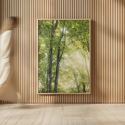 Towering Maples IV by Elizabeth Urquhart. shown as over sized large wall art. Available as an archival giclee rolled canvas, fine art paper, or poster print. SKU 30346h.