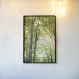 Towering Maples IV by Elizabeth Urquhart. shown as a paper print in a black flame. Available as a archival giclee rolled canvas, fine art paper, or poster print. SKU 30346h.