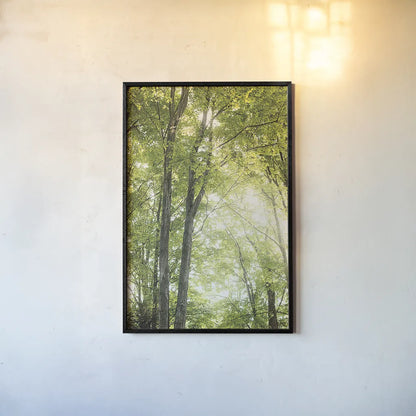 Towering Maples IV by Elizabeth Urquhart. shown as a paper print in a black flame. Available as a archival giclee rolled canvas, fine art paper, or poster print. SKU 30346h.