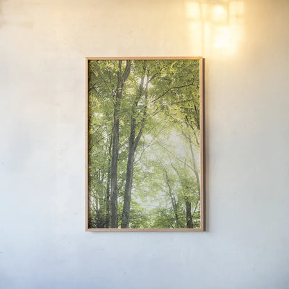 Towering Maples IV by Elizabeth Urquhart. shown as a paper print in a natural frame. Available as a archival giclee rolled canvas, fine art paper, or poster print. SKU 30346h.