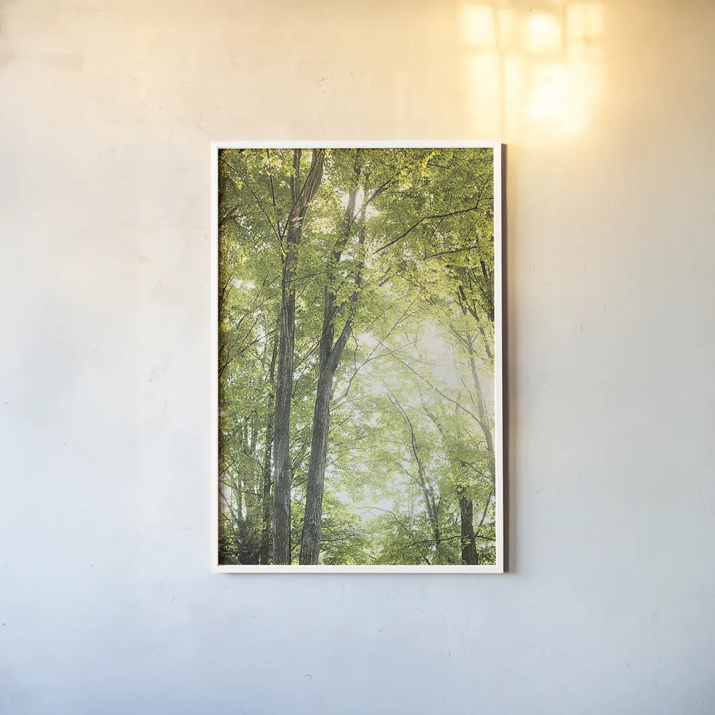 Towering Maples IV by Elizabeth Urquhart. shown as a paper print in a white frame. Available as a archival giclee rolled canvas, fine art paper, or poster print. SKU 30346h.