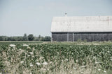Weathered I by Elizabeth Urquhart. SKU 50755i. Archival Giclee Fine art print for wall decor.