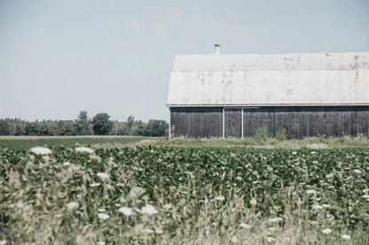 Weathered I by Elizabeth Urquhart. SKU 50755i. Archival Giclee Fine art print for wall decor.