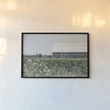 Weathered I by Elizabeth Urquhart. shown as a paper print in a black flame. Available as a archival giclee rolled canvas, fine art paper, or poster print. SKU 50755i.