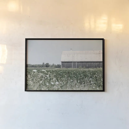 Weathered I by Elizabeth Urquhart. shown as a paper print in a black flame. Available as a archival giclee rolled canvas, fine art paper, or poster print. SKU 50755i.