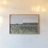 Weathered I by Elizabeth Urquhart. shown as a paper print in a natural frame. Available as a archival giclee rolled canvas, fine art paper, or poster print. SKU 50755i.