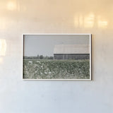 Weathered I by Elizabeth Urquhart. shown as a paper print in a white frame. Available as a archival giclee rolled canvas, fine art paper, or poster print. SKU 50755i.