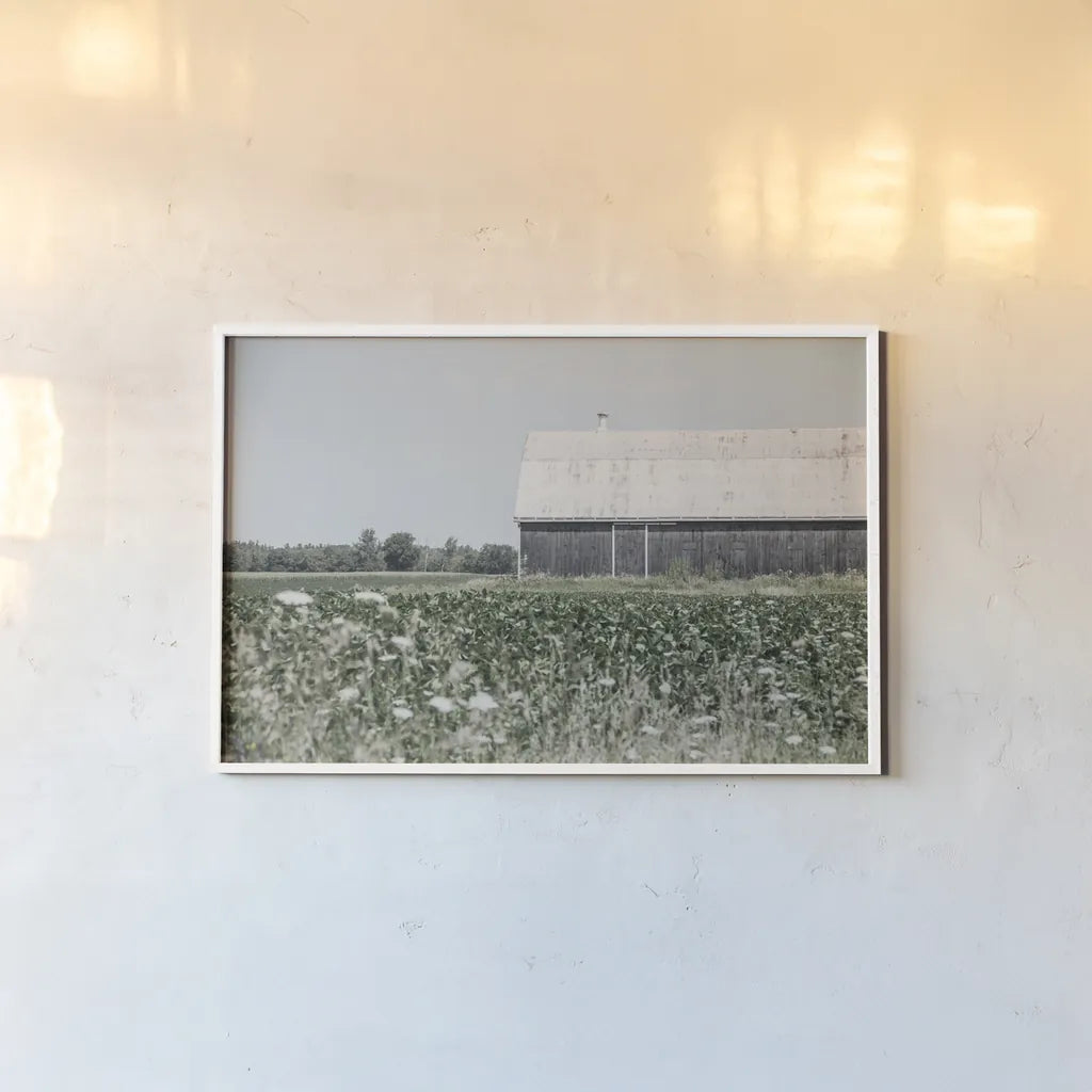 Weathered I by Elizabeth Urquhart. shown as a paper print in a white frame. Available as a archival giclee rolled canvas, fine art paper, or poster print. SKU 50755i.