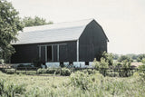 Weathered II by Elizabeth Urquhart. SKU 50756i. Archival Giclee Fine art print for wall decor.