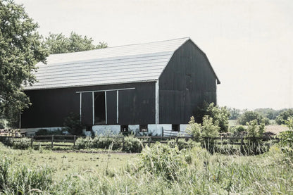 Weathered II by Elizabeth Urquhart. SKU 50756i. Archival Giclee Fine art print for wall decor.