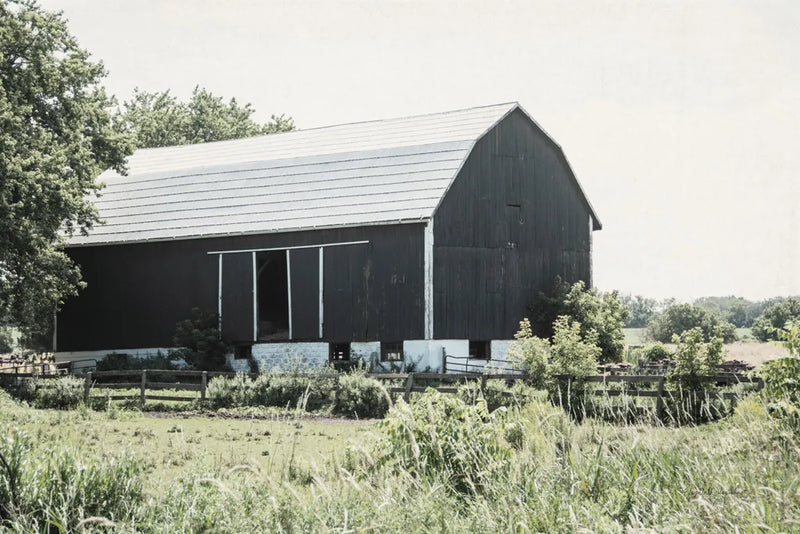 Weathered II by Elizabeth Urquhart. SKU 50756i. Archival Giclee Fine art print for wall decor.