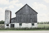 Weathered III by Elizabeth Urquhart. SKU 50757i. Archival Giclee Fine art print for wall decor.