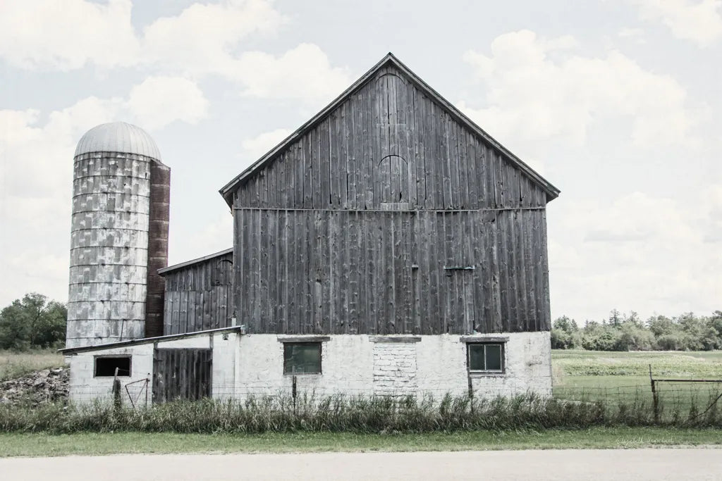 Weathered III by Elizabeth Urquhart. SKU 50757i. Archival Giclee Fine art print for wall decor.