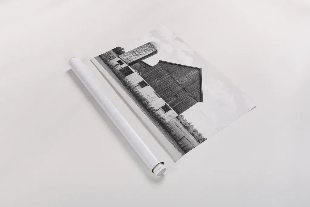 Weathered III BW by Elizabeth Urquhart. shown as a rolled paper print. Available as archival giclee rolled canvas, fine art paper, or poster print. SKU 57695i.