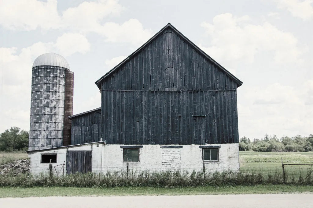 Weathered III Navy Wood by Elizabeth Urquhart. SKU 56049i. Archival Giclee Fine art print for wall decor.