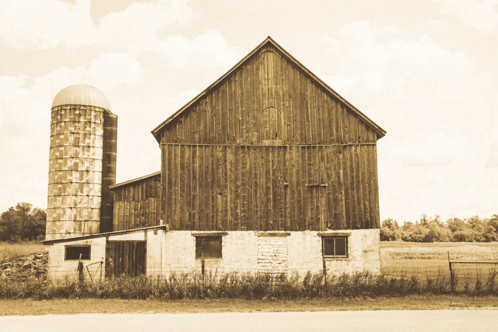 Weathered III Sepia by Elizabeth Urquhart. SKU 57696i. Archival Giclee Fine art print for wall decor.