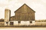 Weathered III Sepia by Elizabeth Urquhart. SKU 57696i. Archival Giclee Fine art print for wall decor.