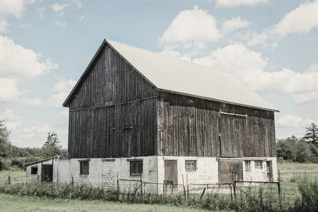 Weathered IV by Elizabeth Urquhart. SKU 50758i. Archival Giclee Fine art print for wall decor.