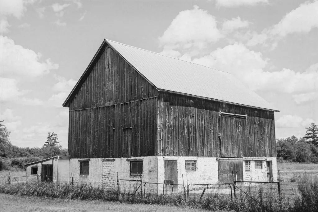 Weathered IV BW by Elizabeth Urquhart. SKU 56048i. Archival Giclee Fine art print for wall decor.