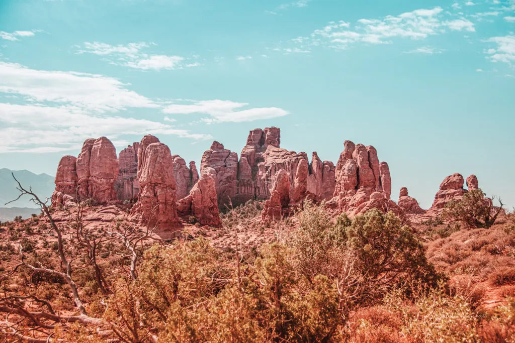 What a View II by Elizabeth Urquhart. SKU 67334i. Archival Giclee Fine art print for wall decor.