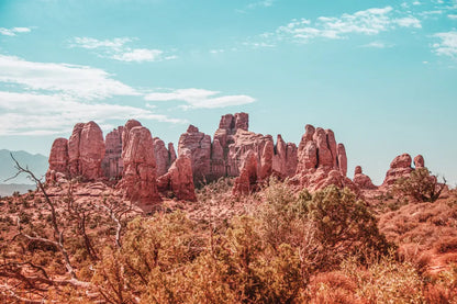 What a View II by Elizabeth Urquhart. SKU 67334i. Archival Giclee Fine art print for wall decor.