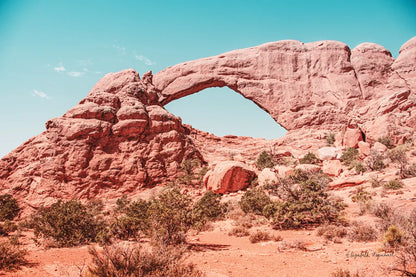 What a View IV by Elizabeth Urquhart. SKU 67336i. Archival Giclee Fine art print for wall decor.