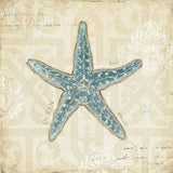 Beach Treasures II by Emily Adams. SKU 13495a. Archival Giclee Fine art print for wall decor.
