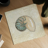 Beach Treasures III by Emily Adams. Shown as a detailed flat fine art print, highlighting archival giclee quality. Available as an archival giclee rolled canvas, fine art paper, or poster print. SKU 13496a.